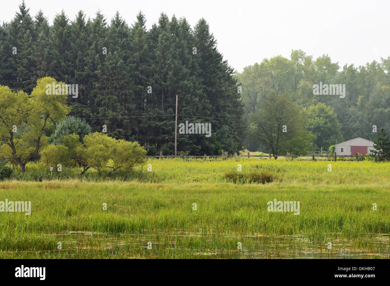 Wilderness plants hi-res stock photography and images - Alamy
