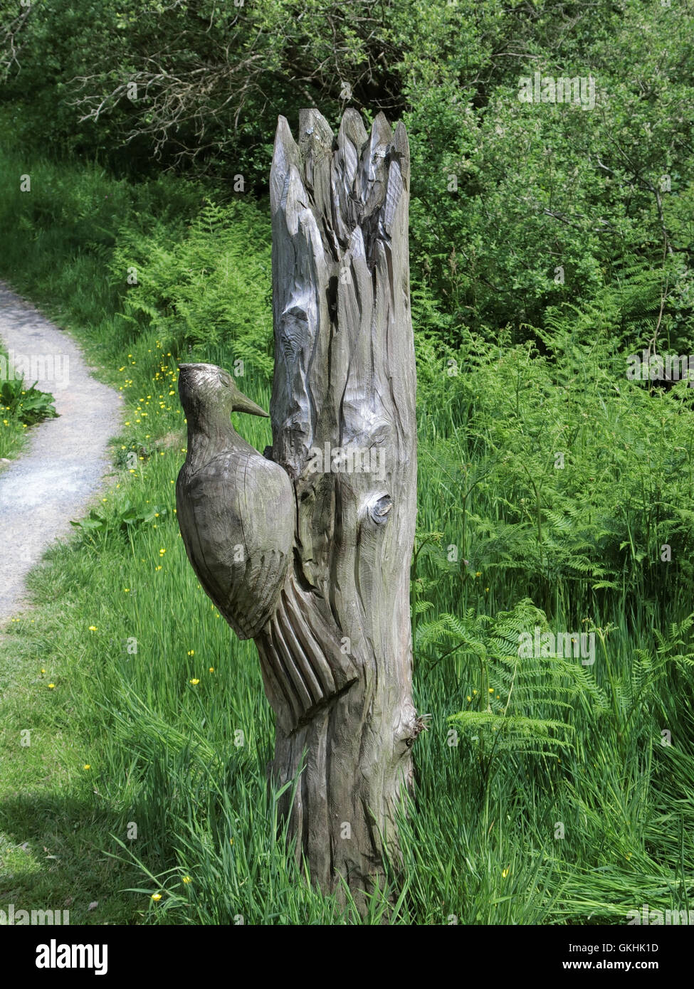 Wooden Sculpture of a Woodpecker on a Tree Trunk, Muckle Lands, Nr  Rockcliffe, Dumfries and Galloway, Scotland, UK Stock Photo - Alamy
