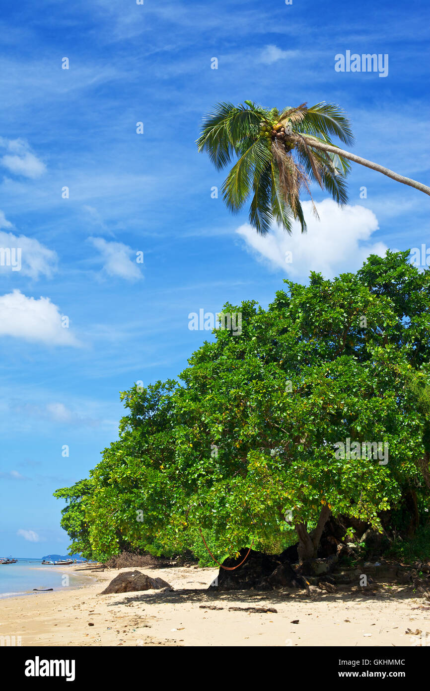 Tropic Beach Stock Photo
