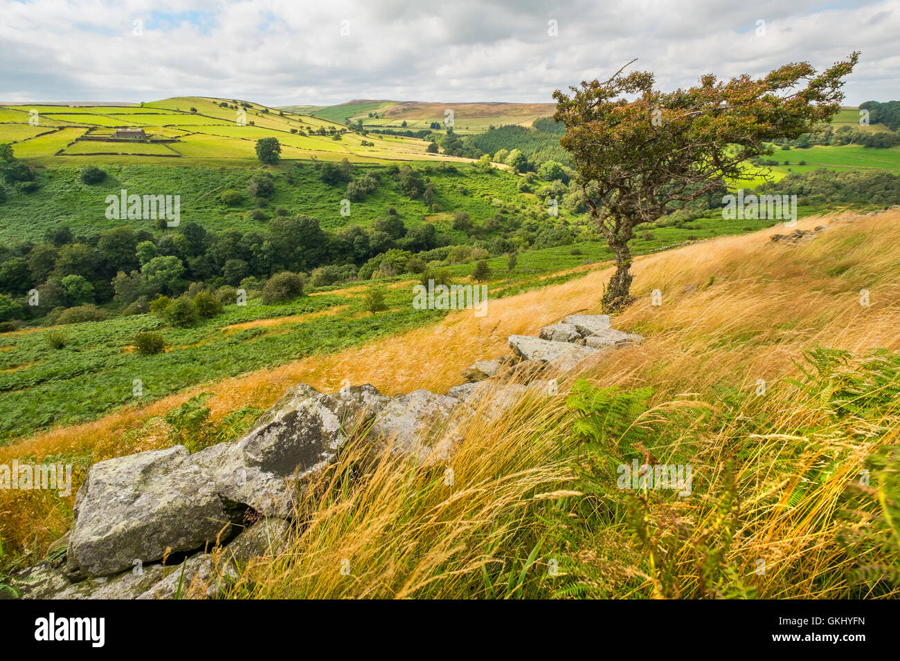 The view northwards from Bretton Clough towards Abney,Derbyshire, in the Peak District National Park,UK Stock Photo