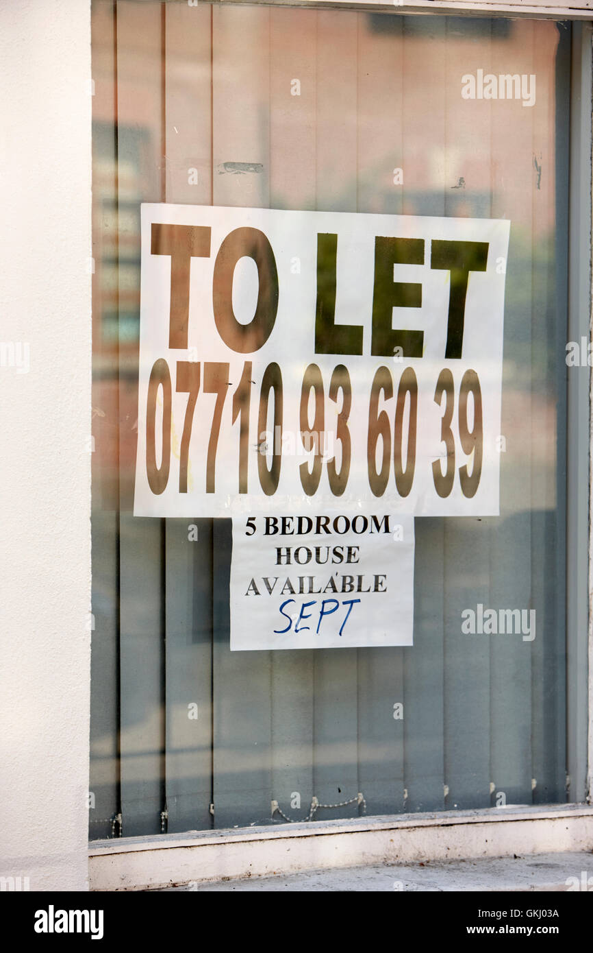 hand written to let sign in the window of a property in the holylands university area of belfast available september Stock Photo