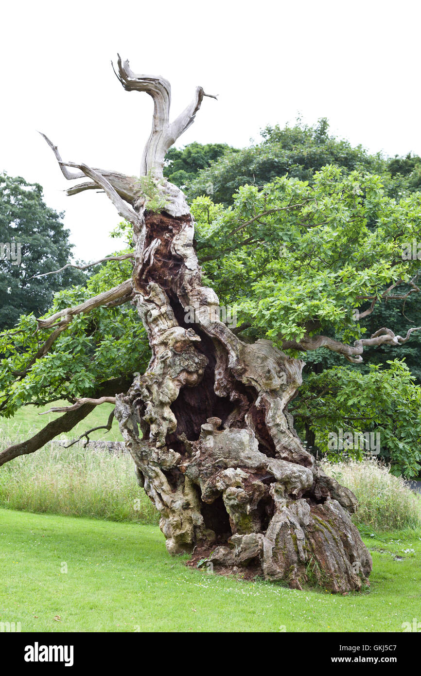 Laund High Resolution Stock Photography And Images Alamy