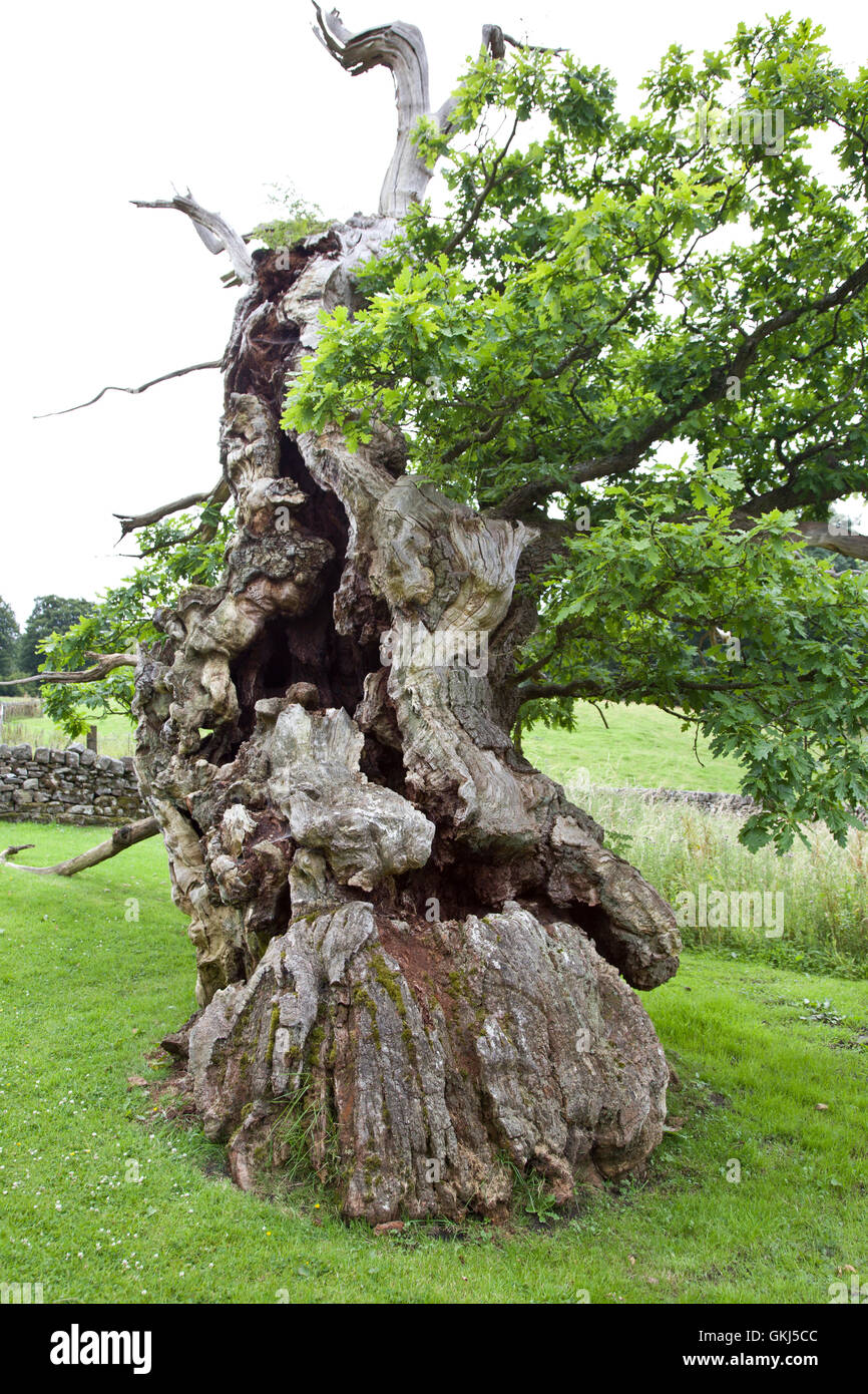 Laund High Resolution Stock Photography And Images Alamy