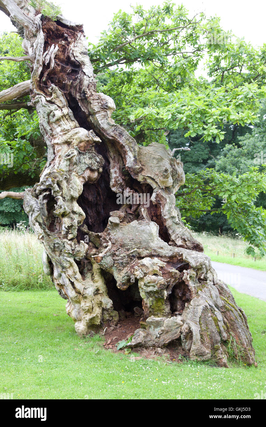 Laund High Resolution Stock Photography And Images Alamy