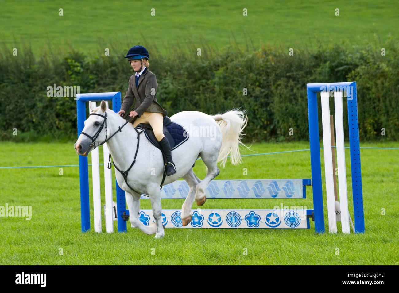 Teenage girl show jumping on her pony at Llanigon YFC Show 2016 nr Hay-on-Wye Powys Wales UK Stock Photo