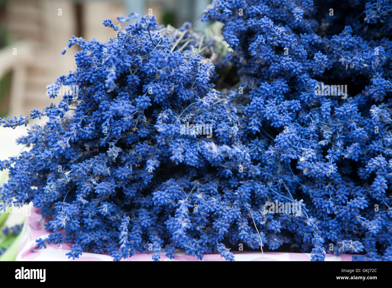 Dried lavender flowers Stock Photo Alamy