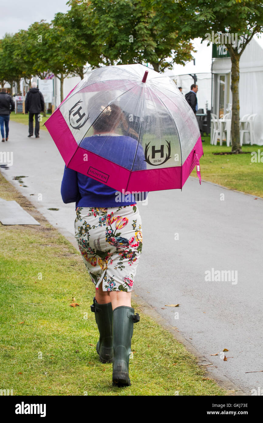 a, rain, raindrop, raindrops, rained, raining, sidewalk, pouring down, umbrellas, umbrella, urban, vertical, walking, weather, wet, raining, Stock Photo