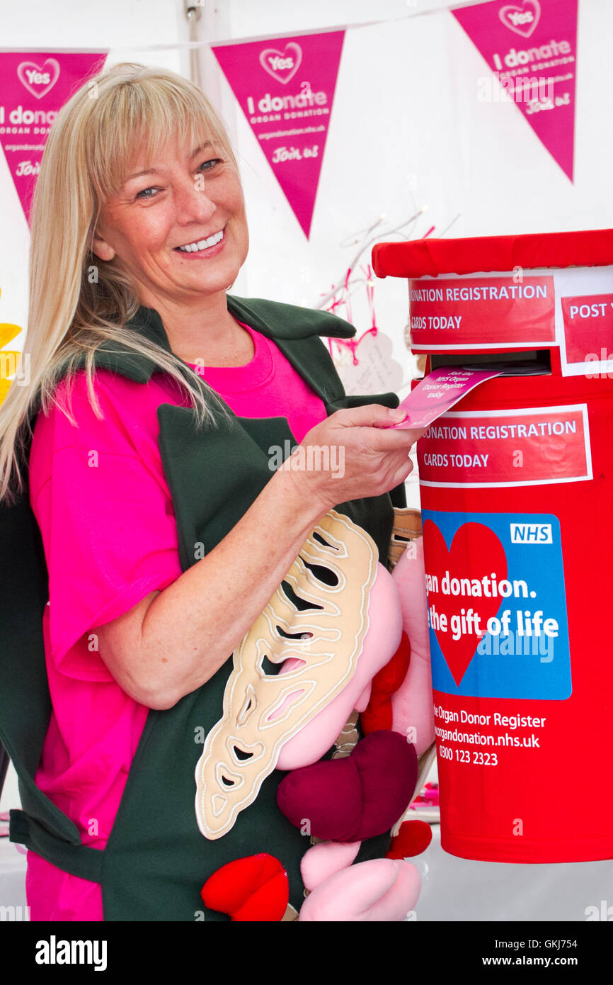 NHS campaign to encourage visitors to register for organ donation at Southport Flower Show, 2016