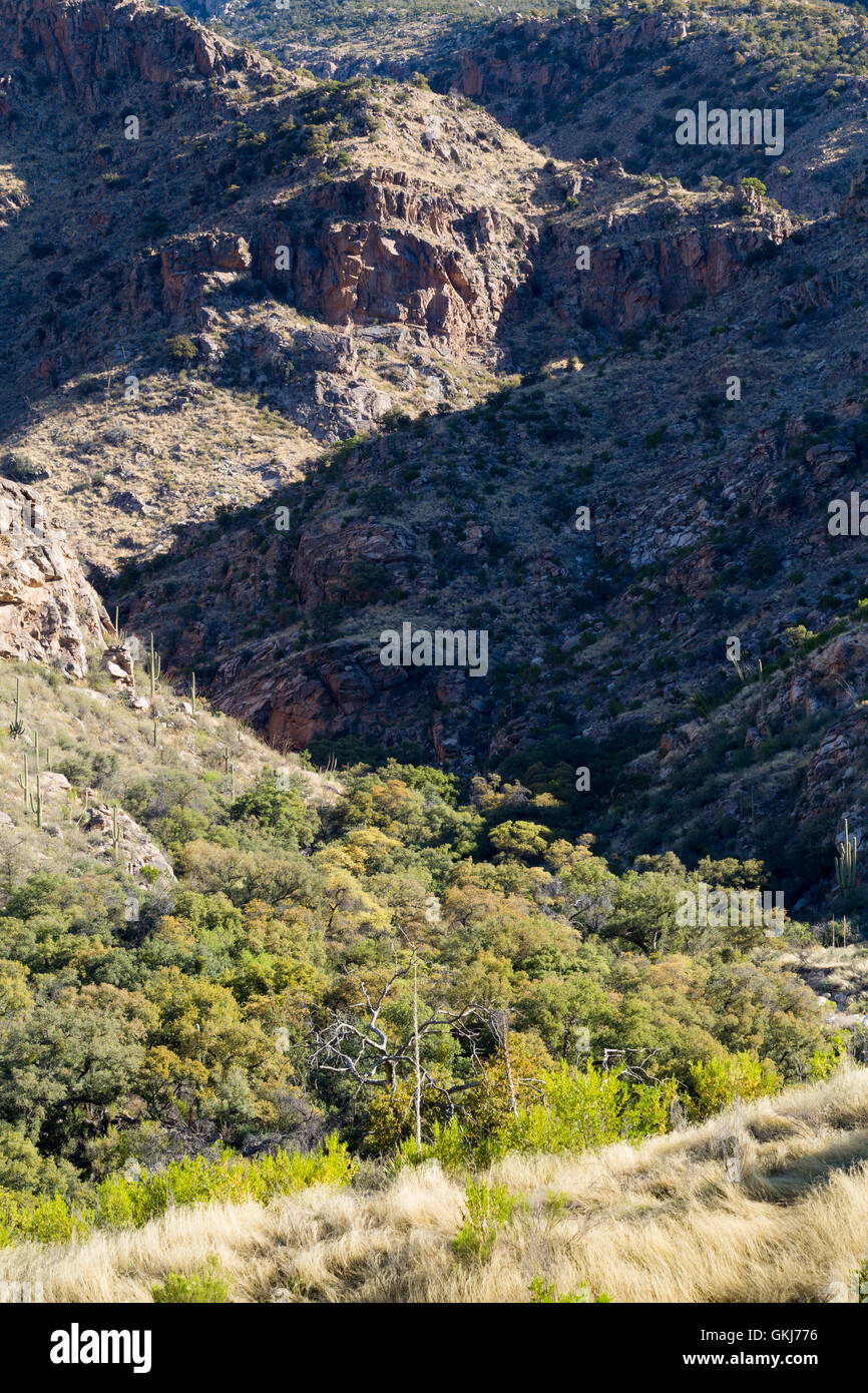 Bottom Of Canyon High Resolution Stock Photography and Images - Alamy