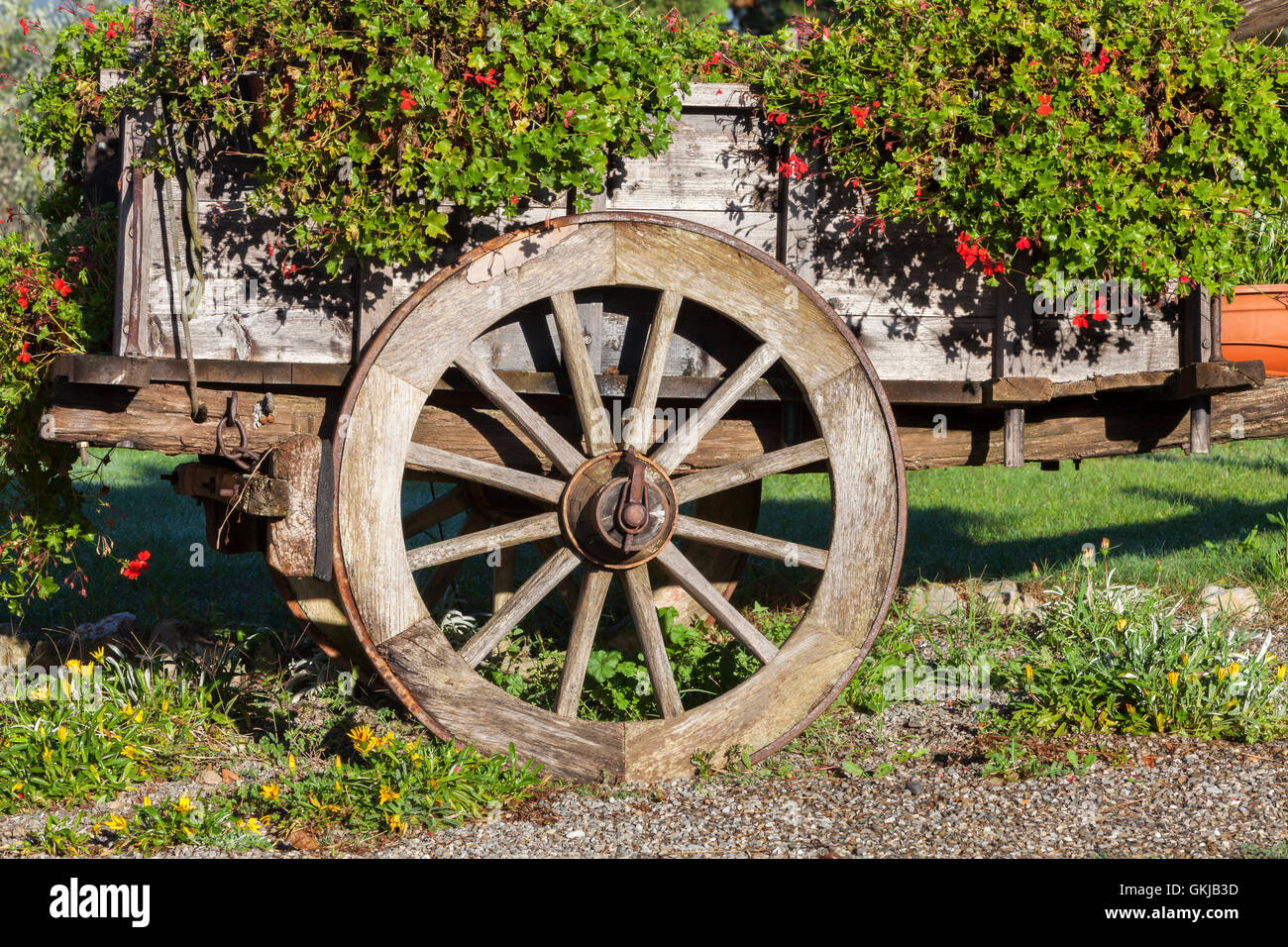 Old fashioned wooden cart wagon decorated with summer flowers in