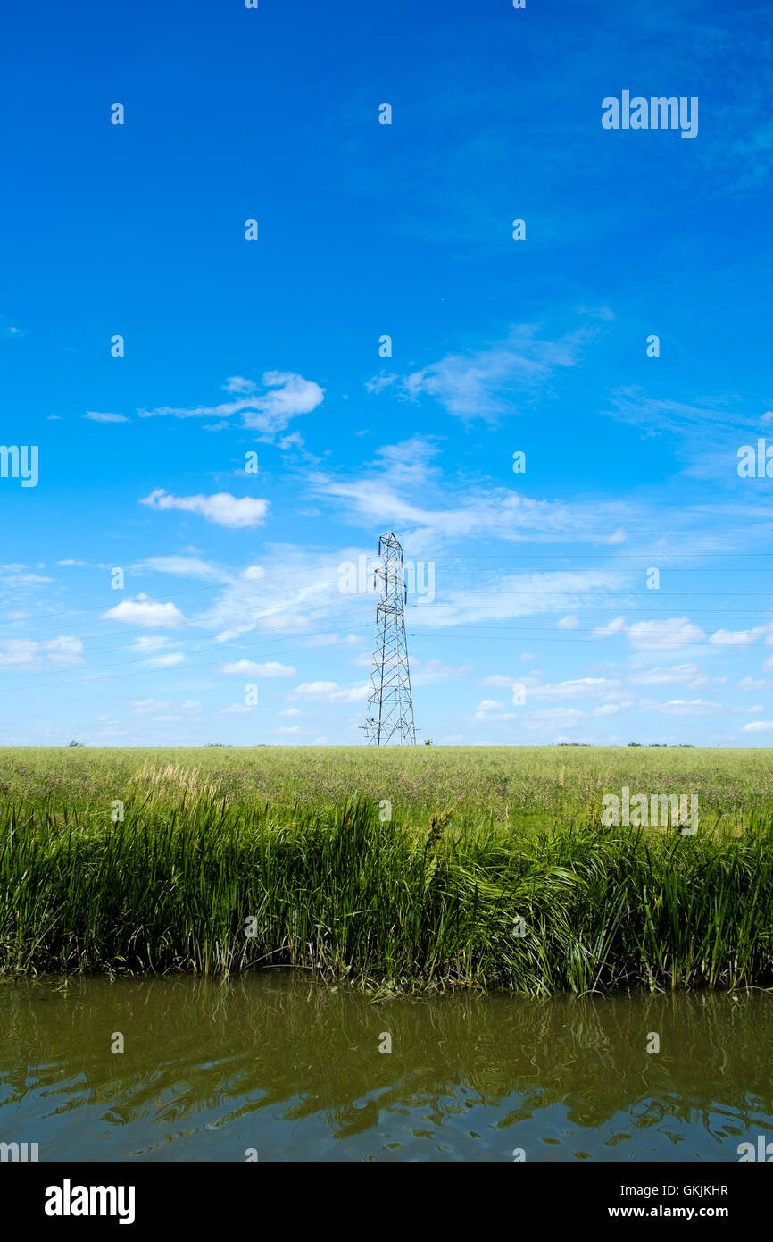 Electricity pylon in countryside on summer day, East Midlands, England Stock Photo