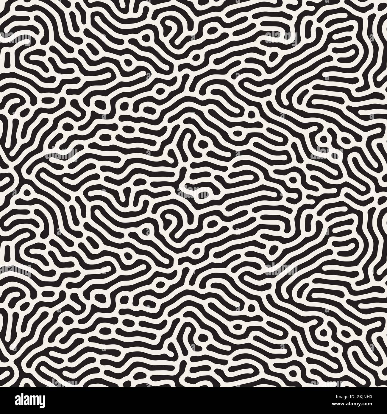 Vector Seamless Black and White Organic Lines Pattern Stock Vector ...