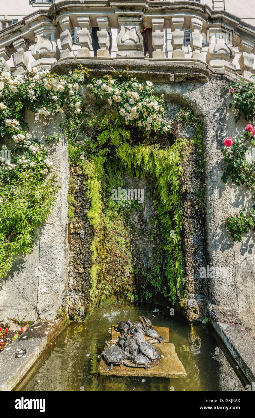 Turtle Pond at the Botanical Garden of Villa Carlotta, Tremezzina, Lake Como, Lombardy, Italy Stock Photo