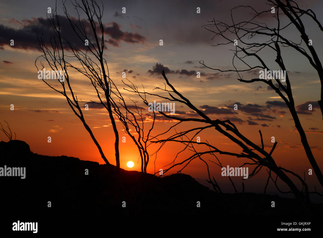 The sun sets west of the Santa Catalina Mountains, Oracle Ridge Trail, a section of the Arizona Trail, Summerhaven, Arizona, USA Stock Photo