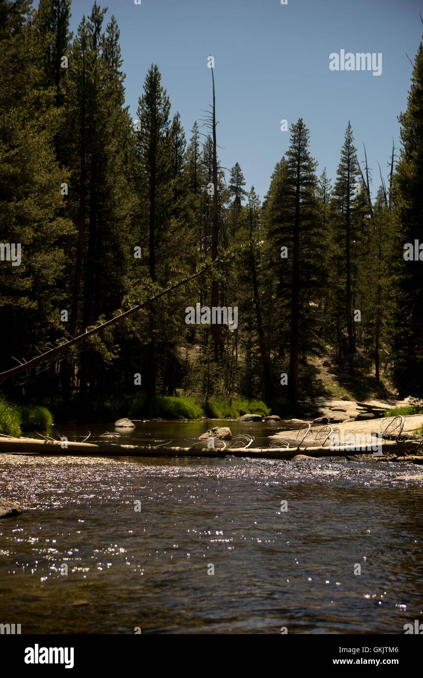 Wide river flowing through park hi-res stock photography and images - Alamy