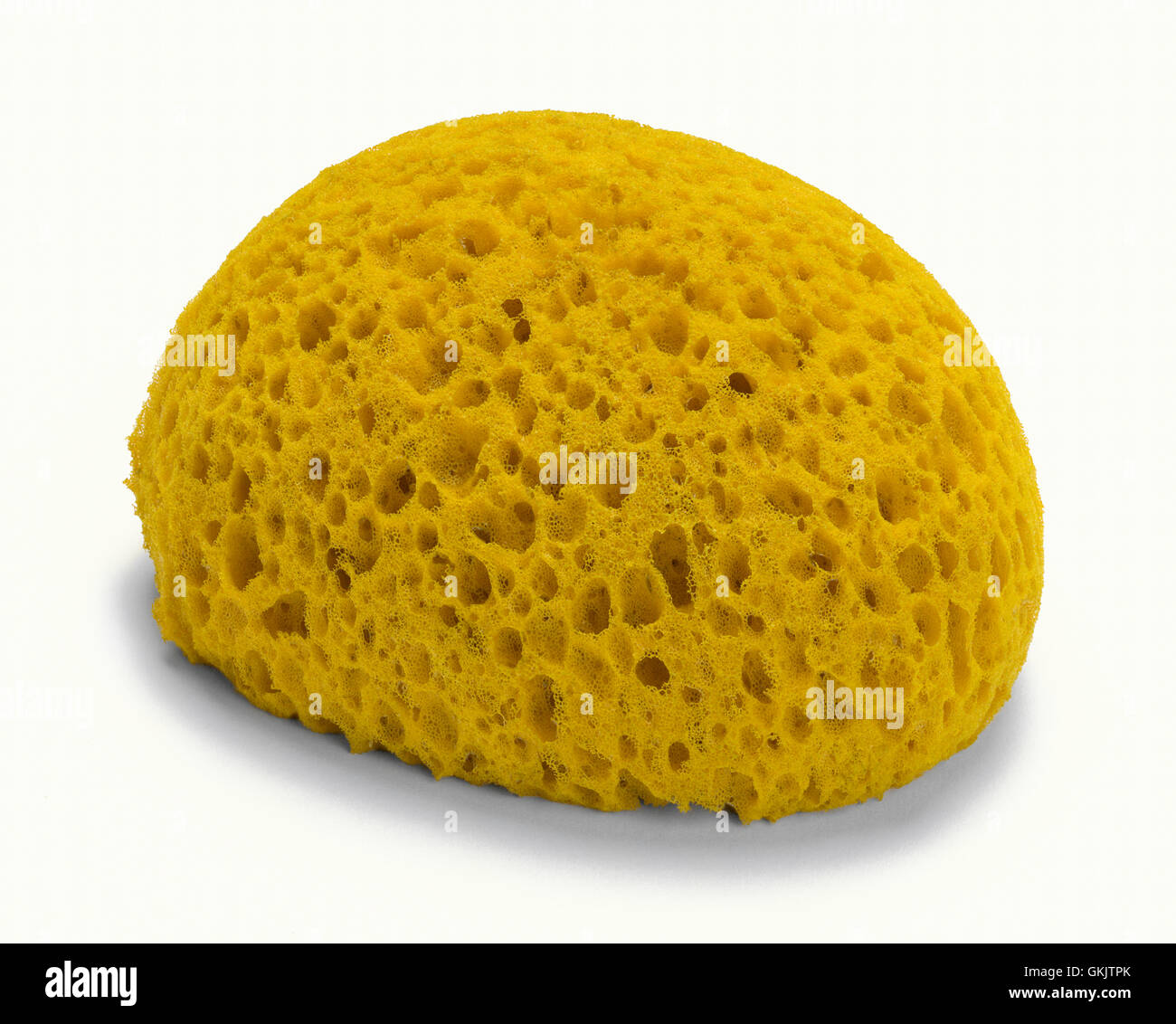 Rounded Natural Sponge Isolated on White Background. Stock Photo
