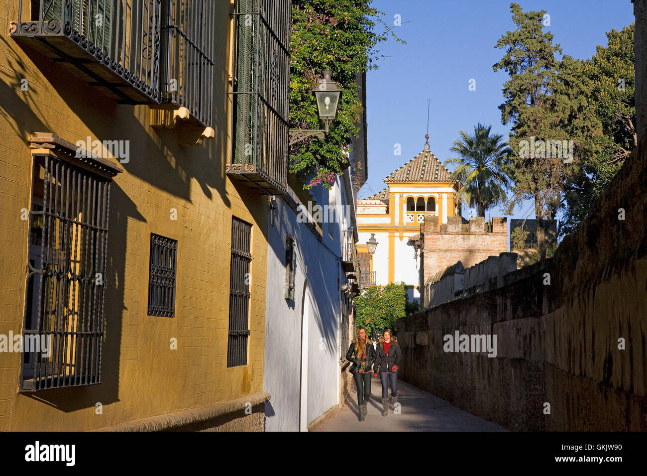 Calle Agua, a pretty lane in Barrio de Santa Cruz, Seville, Andalusia, Spain Stock Photo