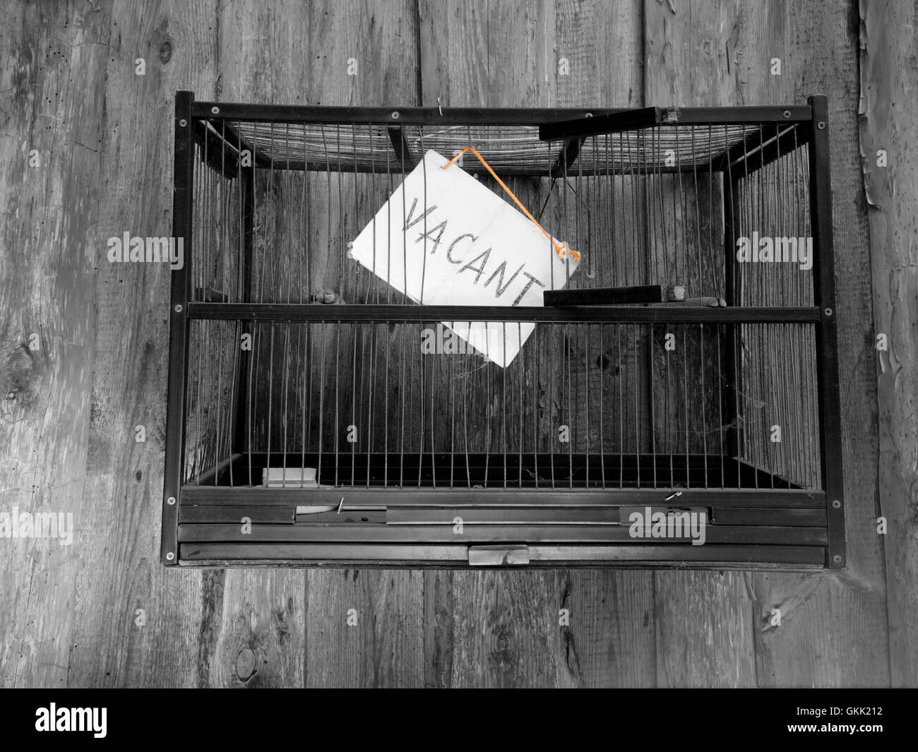 Empty Bird Cage Stock Photo Alamy