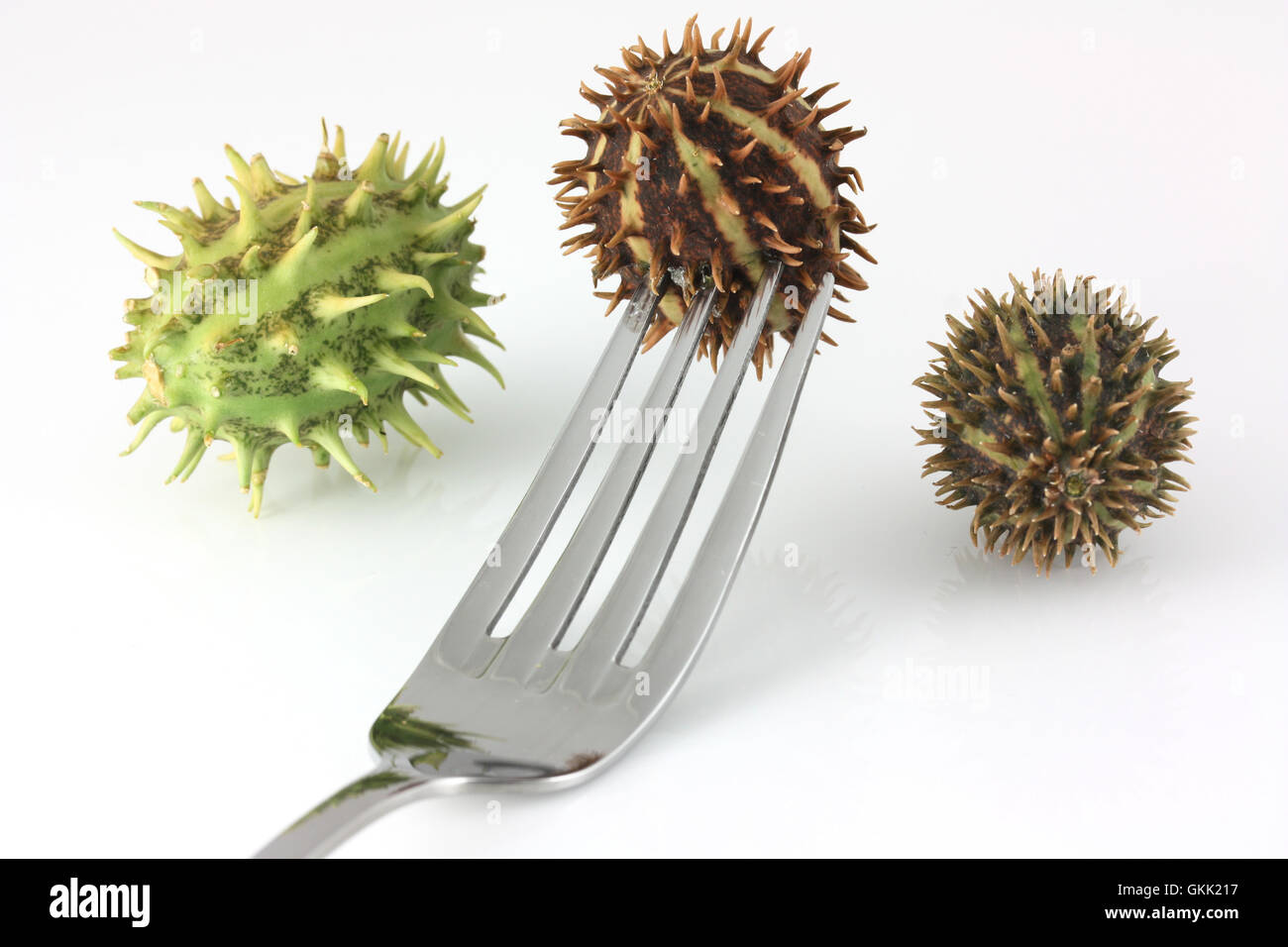 Spiky fruit on a fork Stock Photo