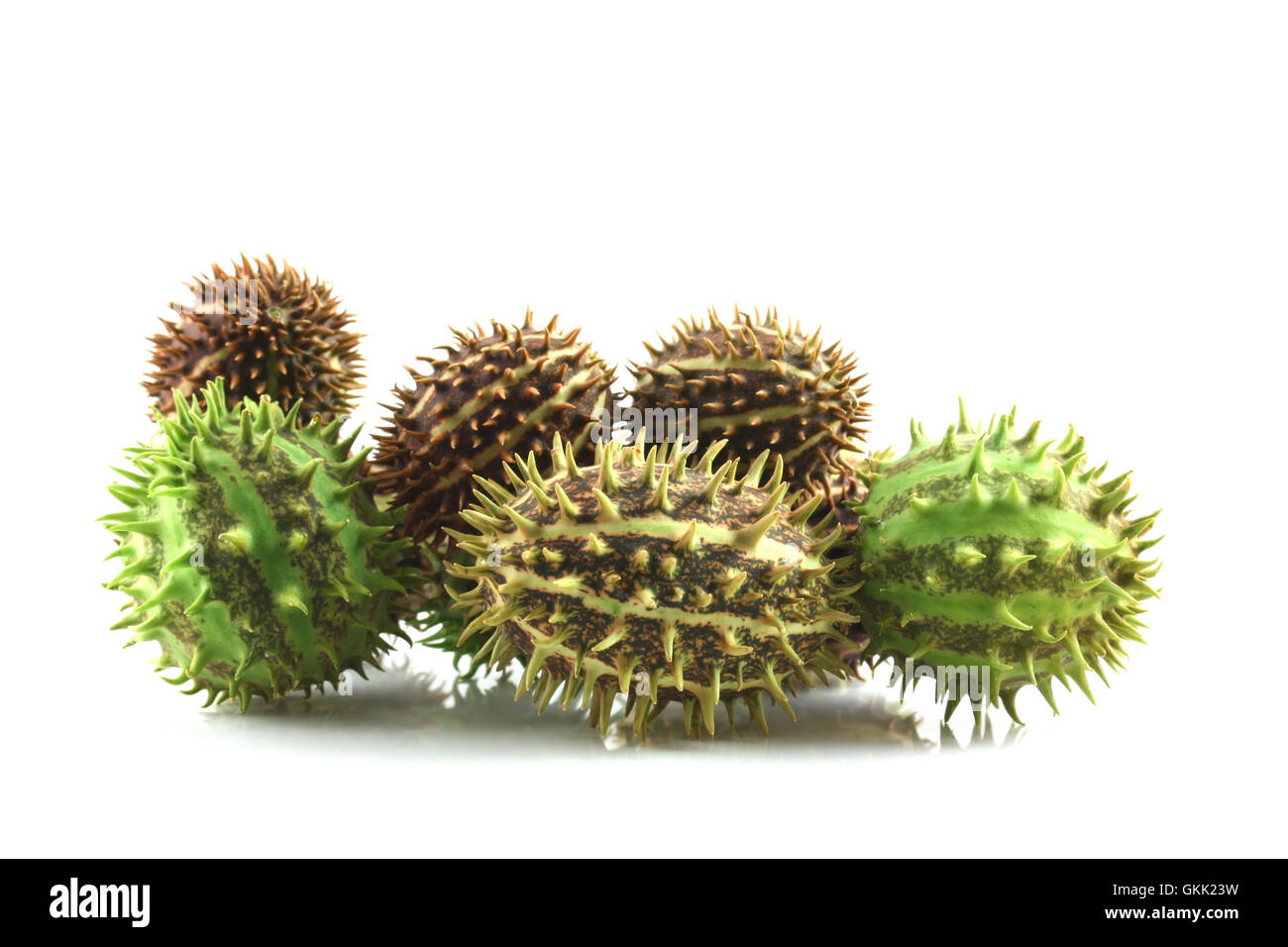 Spiky cucumis fruit mix Stock Photo