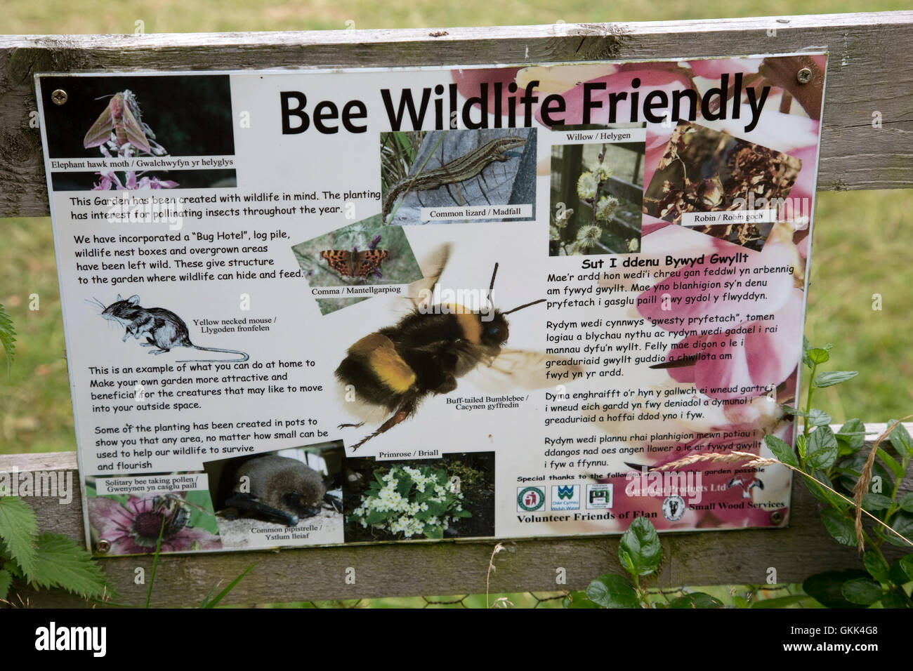 Bee wildlife friendly information board Caban Coch Elan Valley Mid Wales Stock Photo