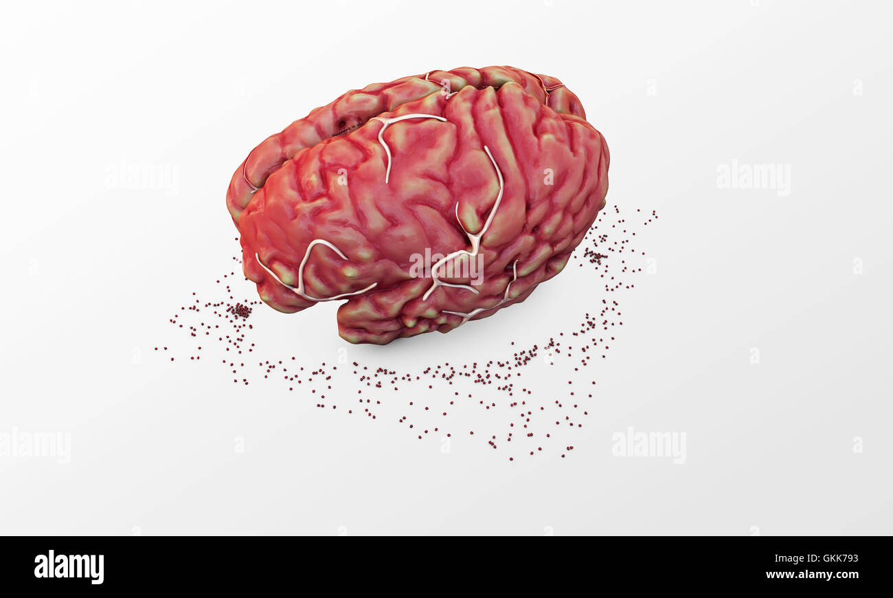 Big brain hires stock photography and images Alamy