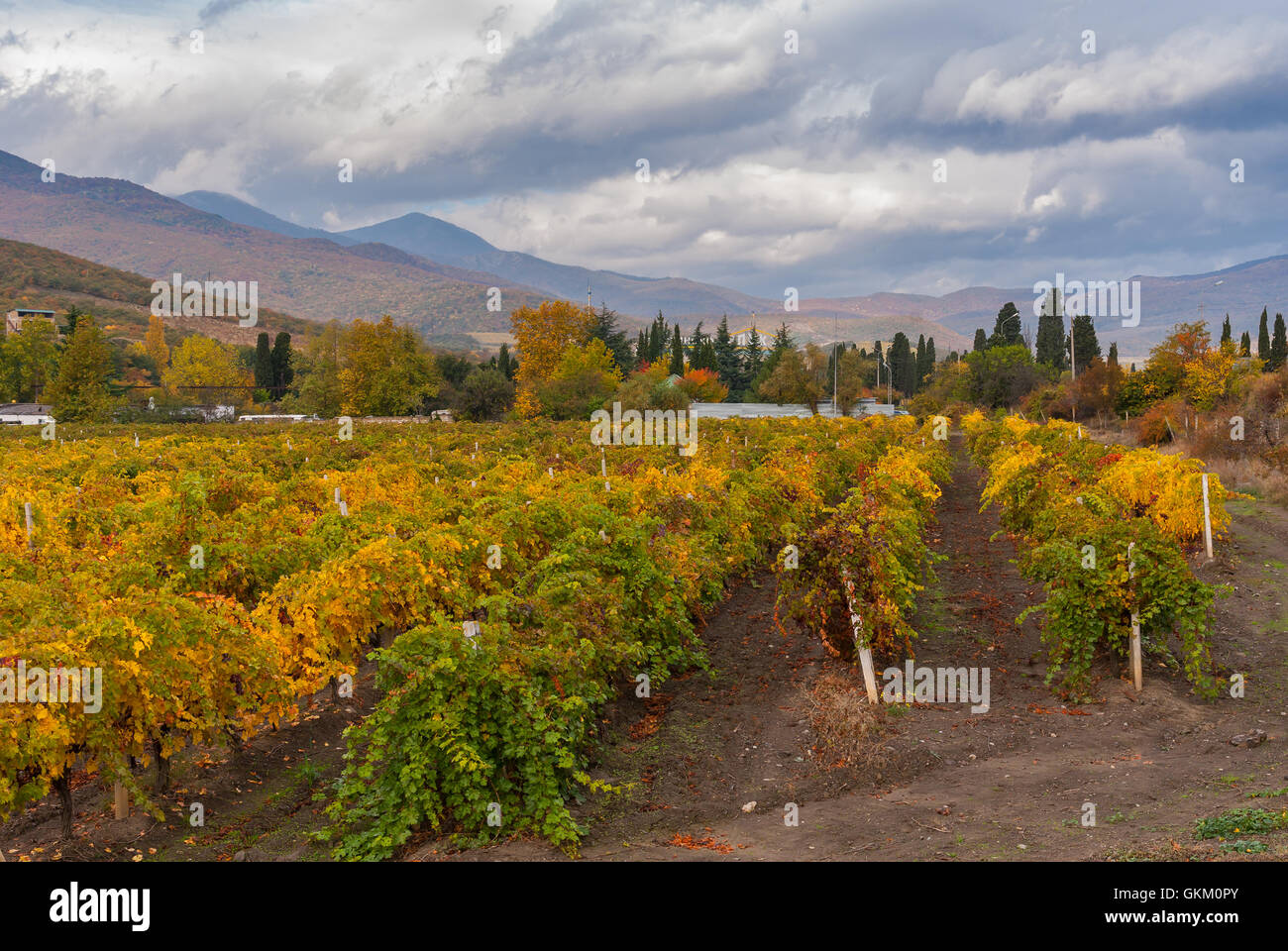 Mountain landscape with vineyards near Alushta city at fall season - Crimean peninsula Stock Photo
