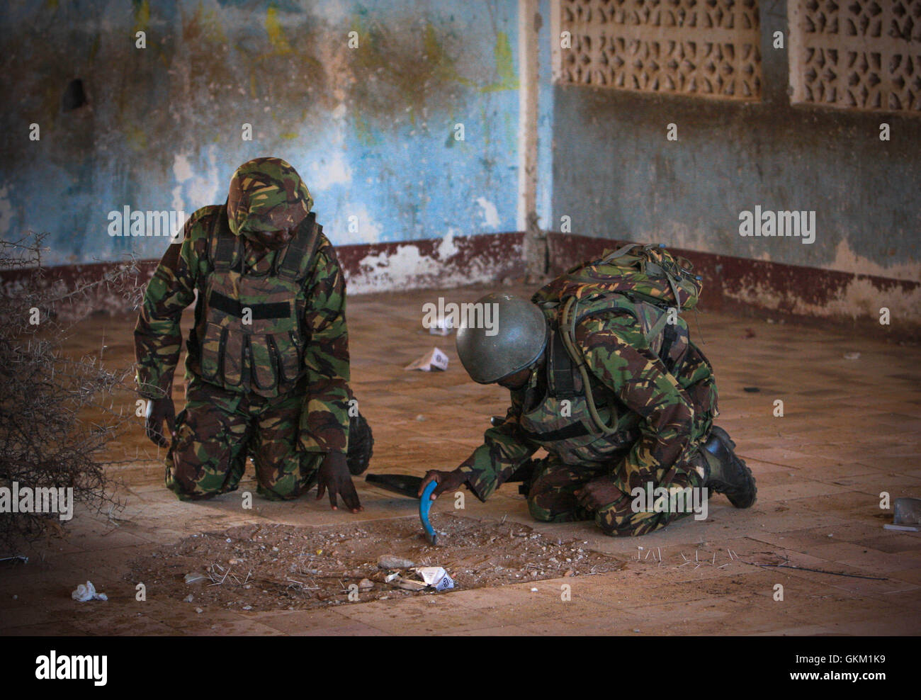SOMALIA, Kismayo: In a handout photograph released by the African Union-United Nations Information Support Team 03 October, two engineers serving with the Kenyan Contingent of the African Union Mission in Somalia (AMISOM) search a former police station in the southern Somali port city of Kismayo for improvised explosive devices (IEDs). The Al-Qaeda-affiliated extremist group Al Shabaab withdrew from the city on 02 October after AMISOM troops, Somali National Army (SNA) forces and the pro-government Ras Kimboni Brigade militia entered and captured Kismayo without a fight. During their security  Stock Photo