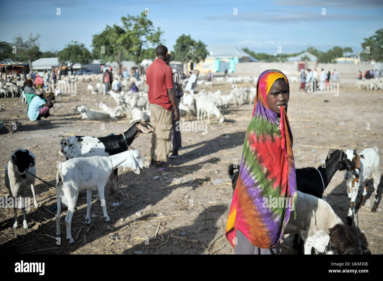 A Somali girl stands watch over a herd of goats at Bakara Animal Market in Mogadishu, Somalia, on April 13. Once notorious for being both the site of Black Hawk Down, in which 18 American soldiers were killed in 1993, and later as an al-Shabaab stronghold, Bakara market is now slowly losing its past notoriety and becoming better known for its thriving economy. In the district's animal market, thousands of goats are now brought each morning, where they are sold on to later be slaughtered for their meat. AU UN IST PHOTO / TOBIN JONES. Stock Photo