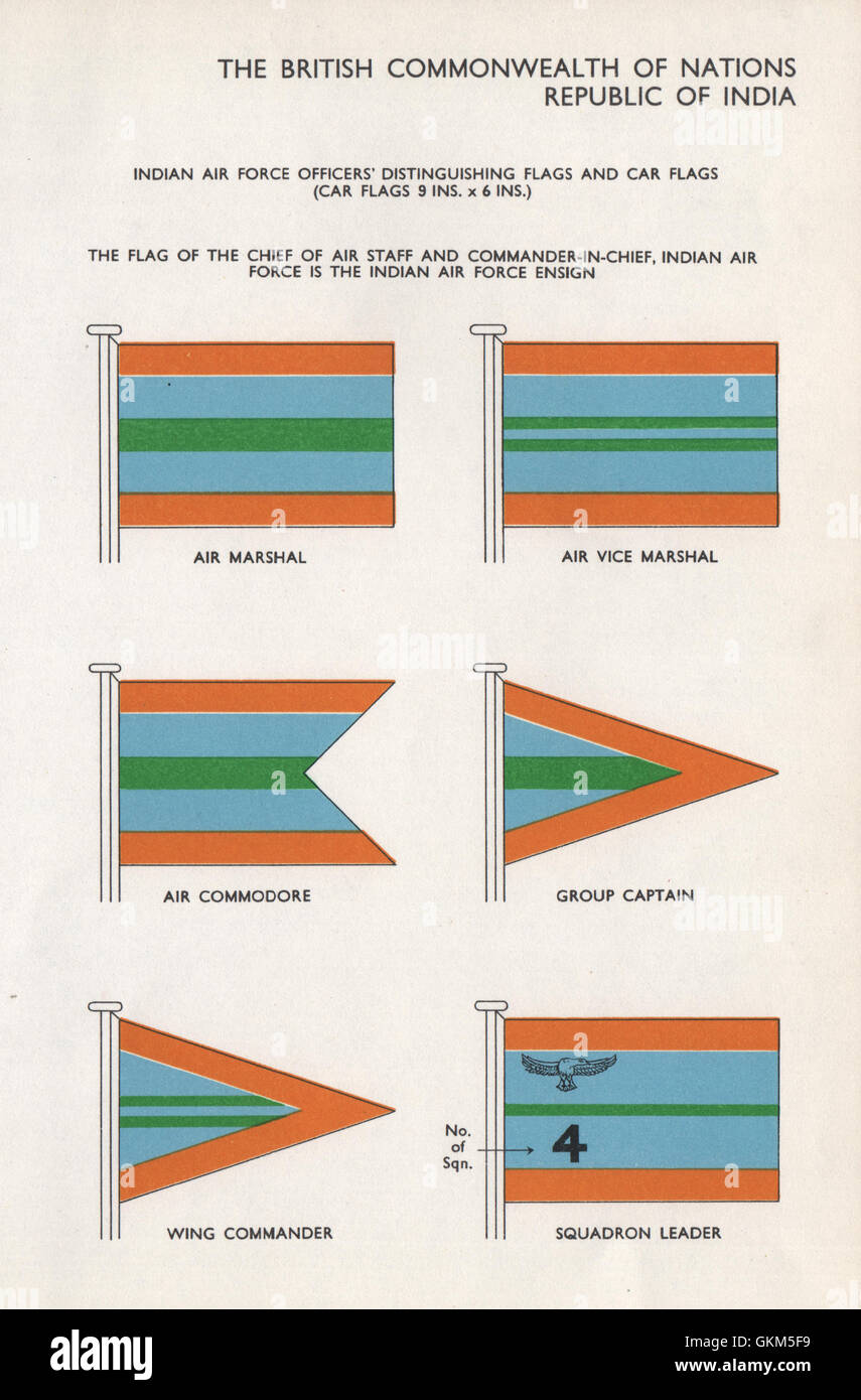 indian air force flag