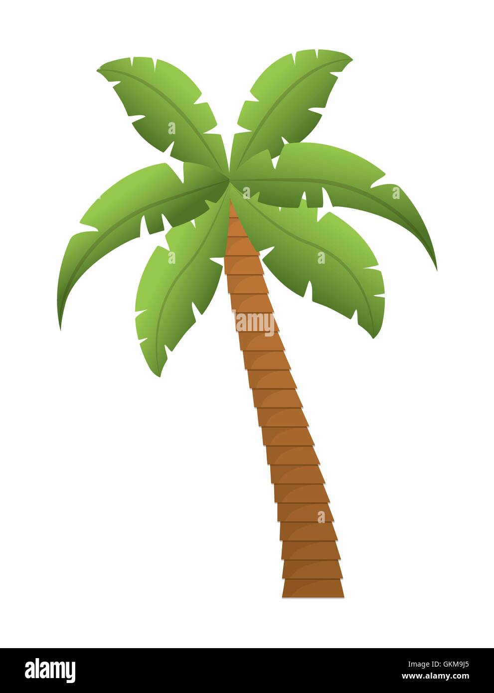Palm tree nature plant design Stock Vector Image & Art - Alamy