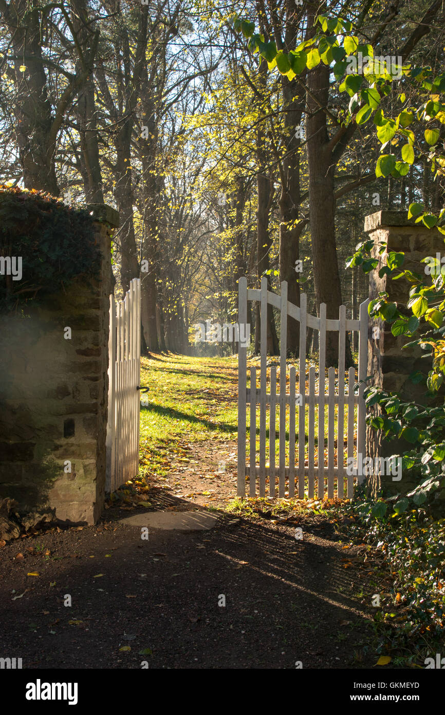 open gate with view to sunlit alley Stock Photo