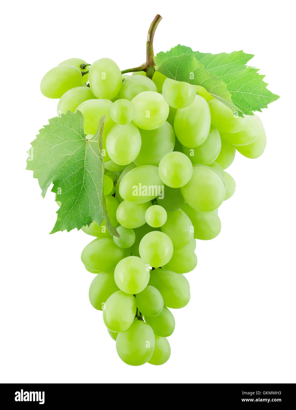 green-grapes-on-summer-hi-res-stock-photography-and-images-alamy