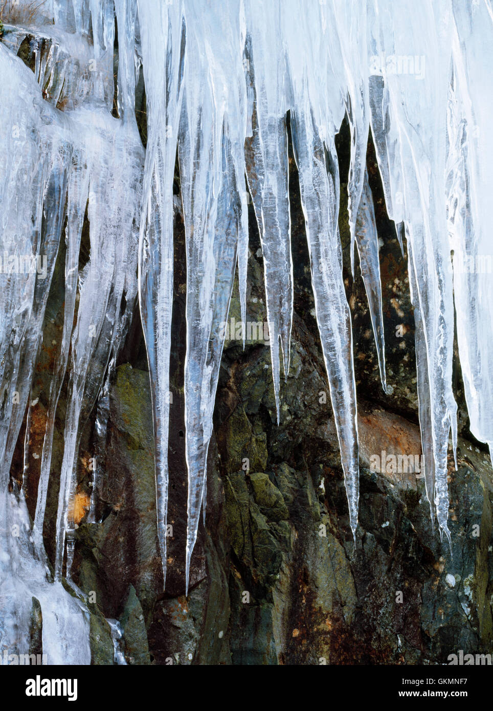 Icicles hanging from a rock outcrop, Snowdonia, North Wales, UK Stock Photo