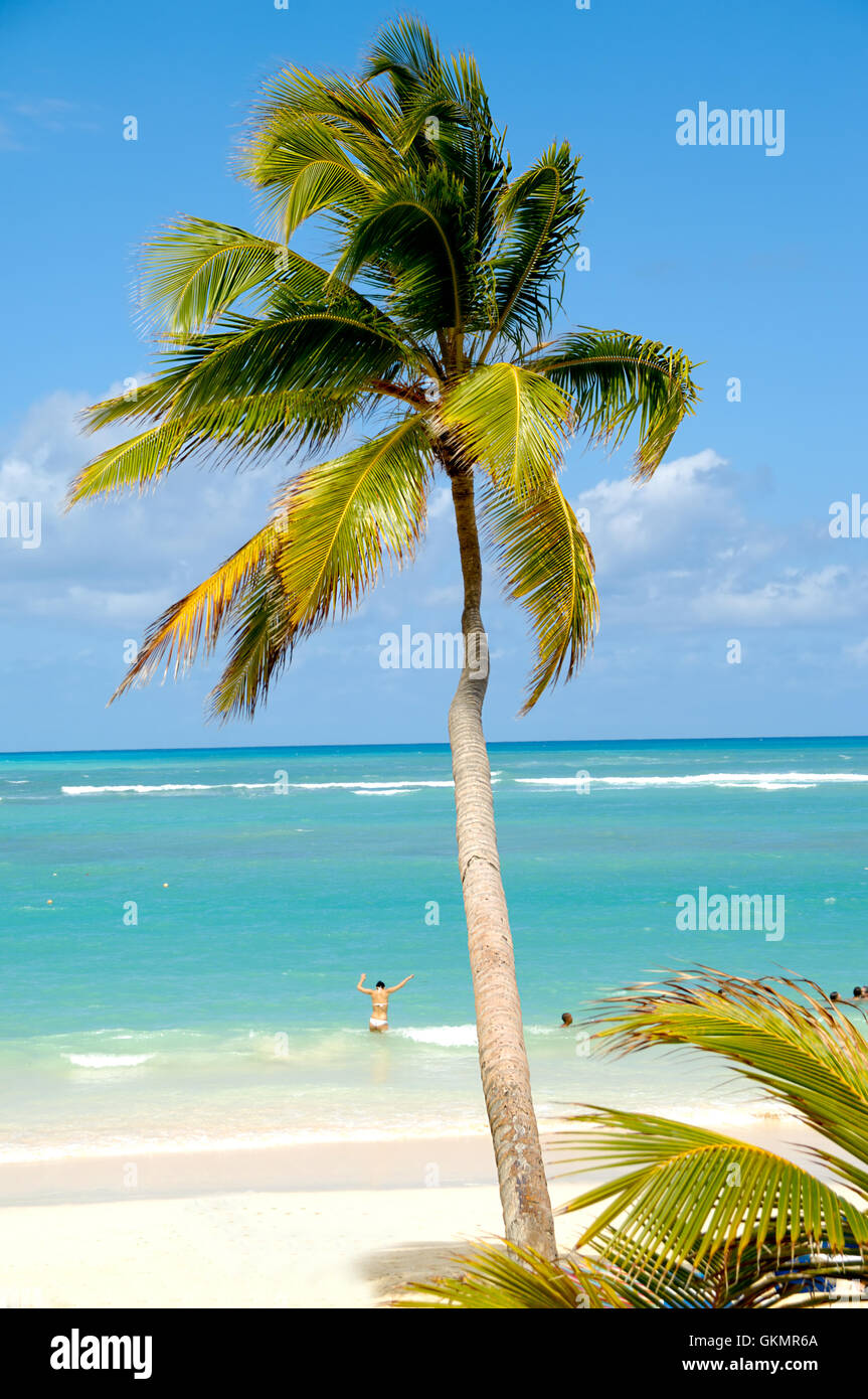 Exotic caribbean paradise hi-res stock photography and images - Alamy