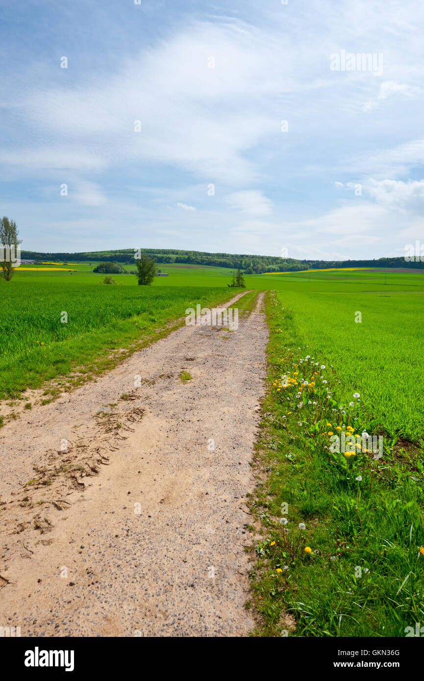 Tree dirt road bavaria hi-res stock photography and images - Alamy