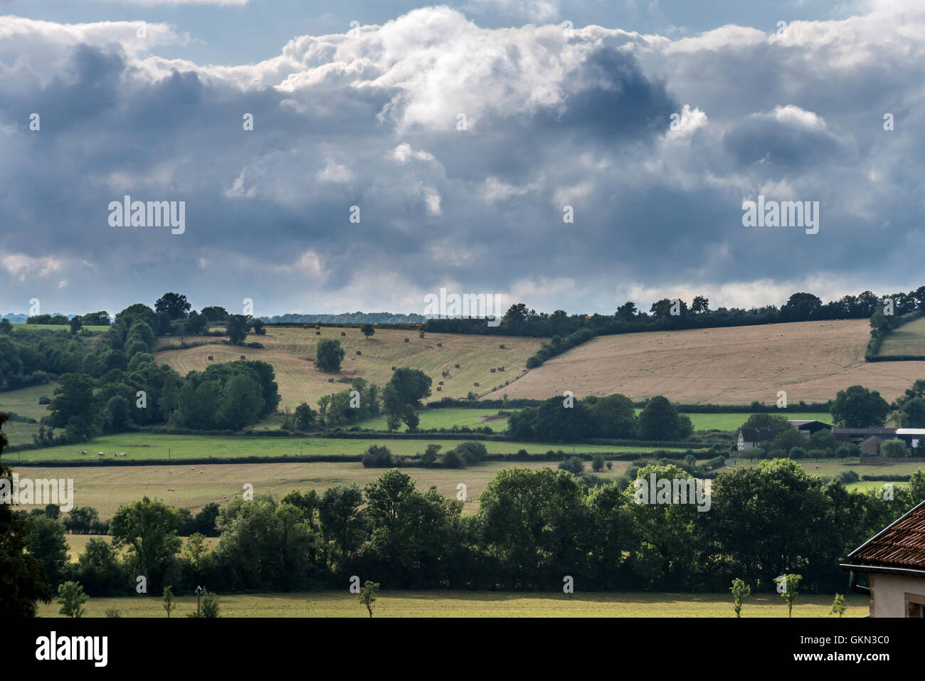 View over the rolling hills and meadows of Burgundy, France Stock Photo