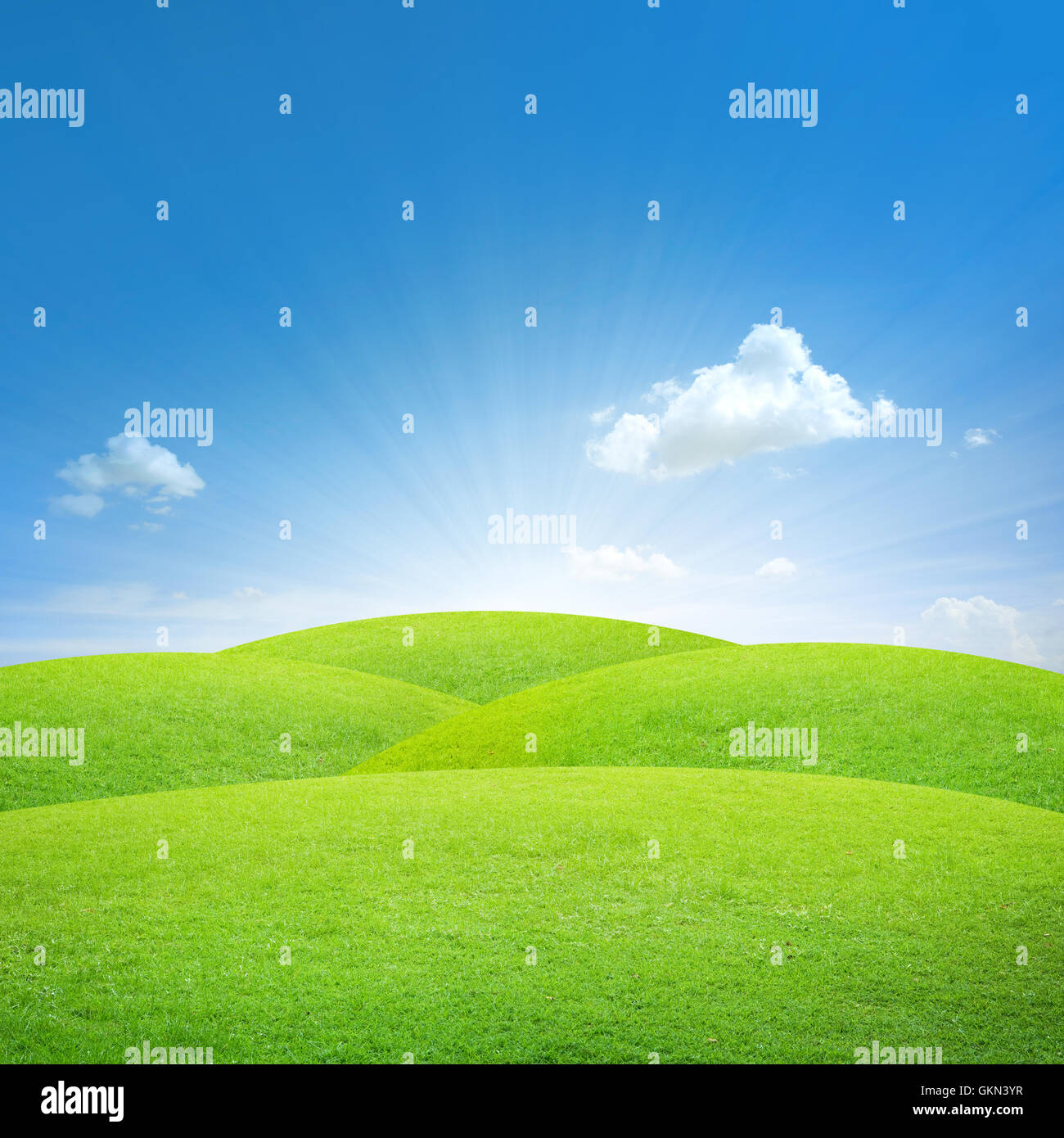 Green field with blue sky Stock Photo - Alamy