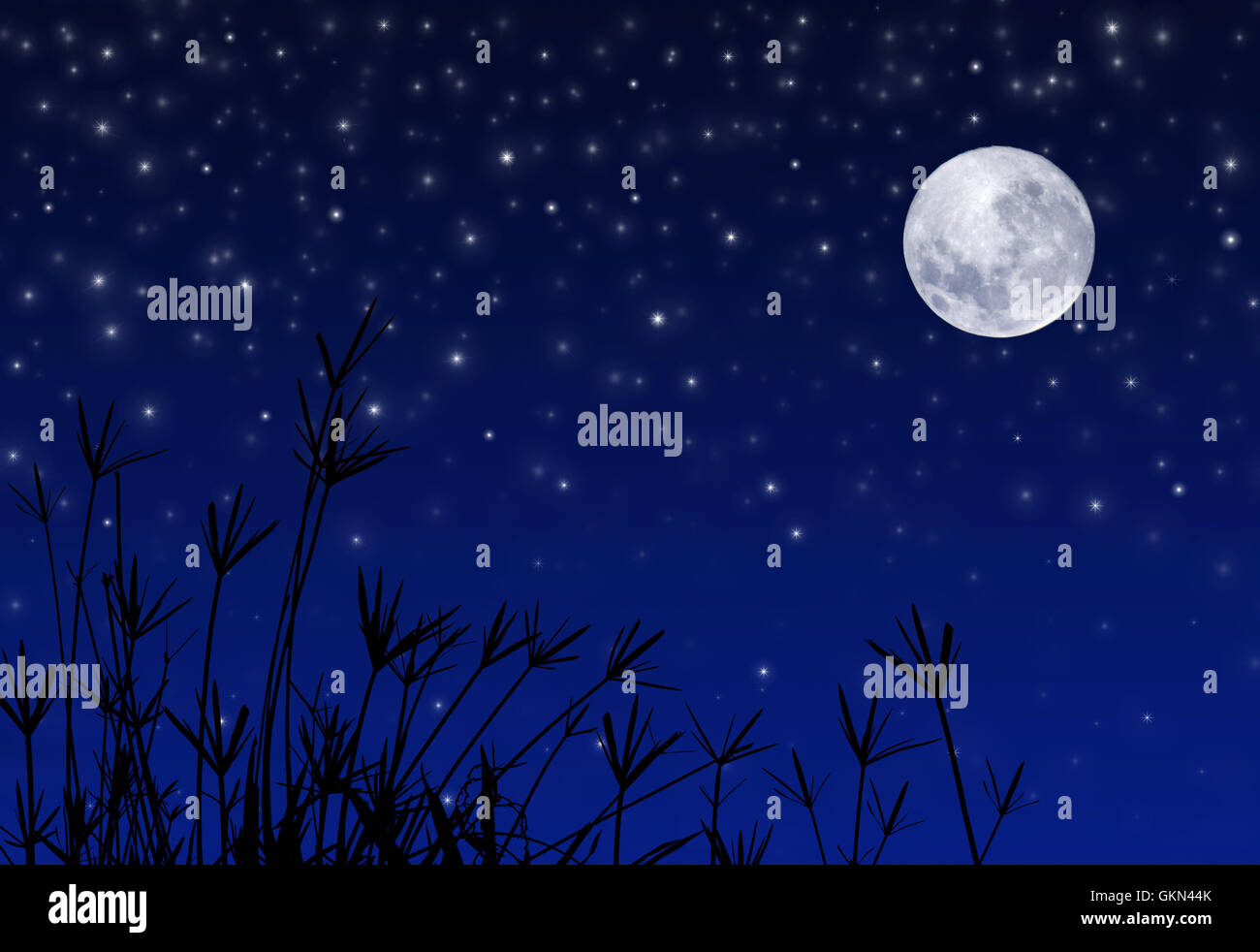 Night Sky with Stars and full Moon Stock Photo - Alamy