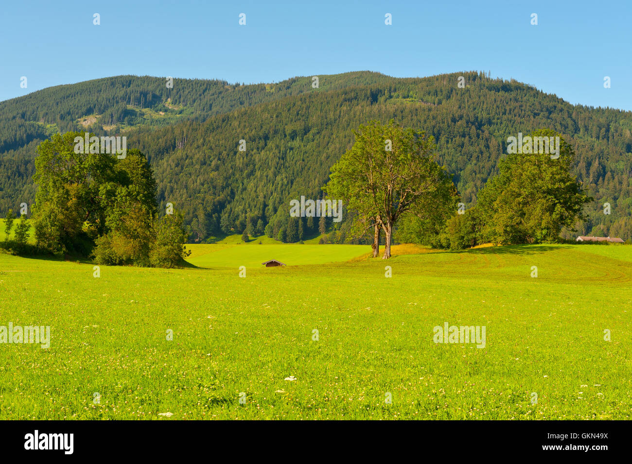 Beauty pasture hi-res stock photography and images - Alamy