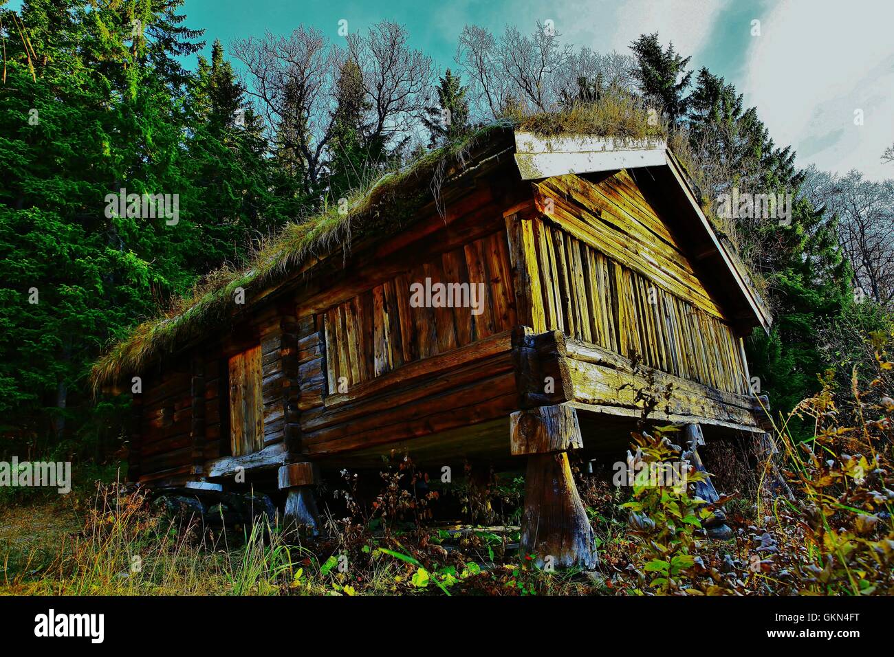 Old timber cabin Stock Photo