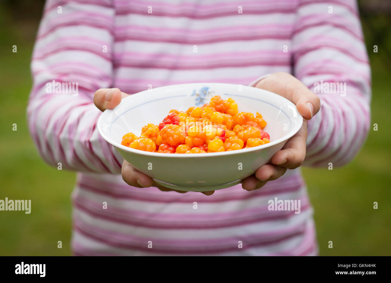 Cloudberry Stock Photo