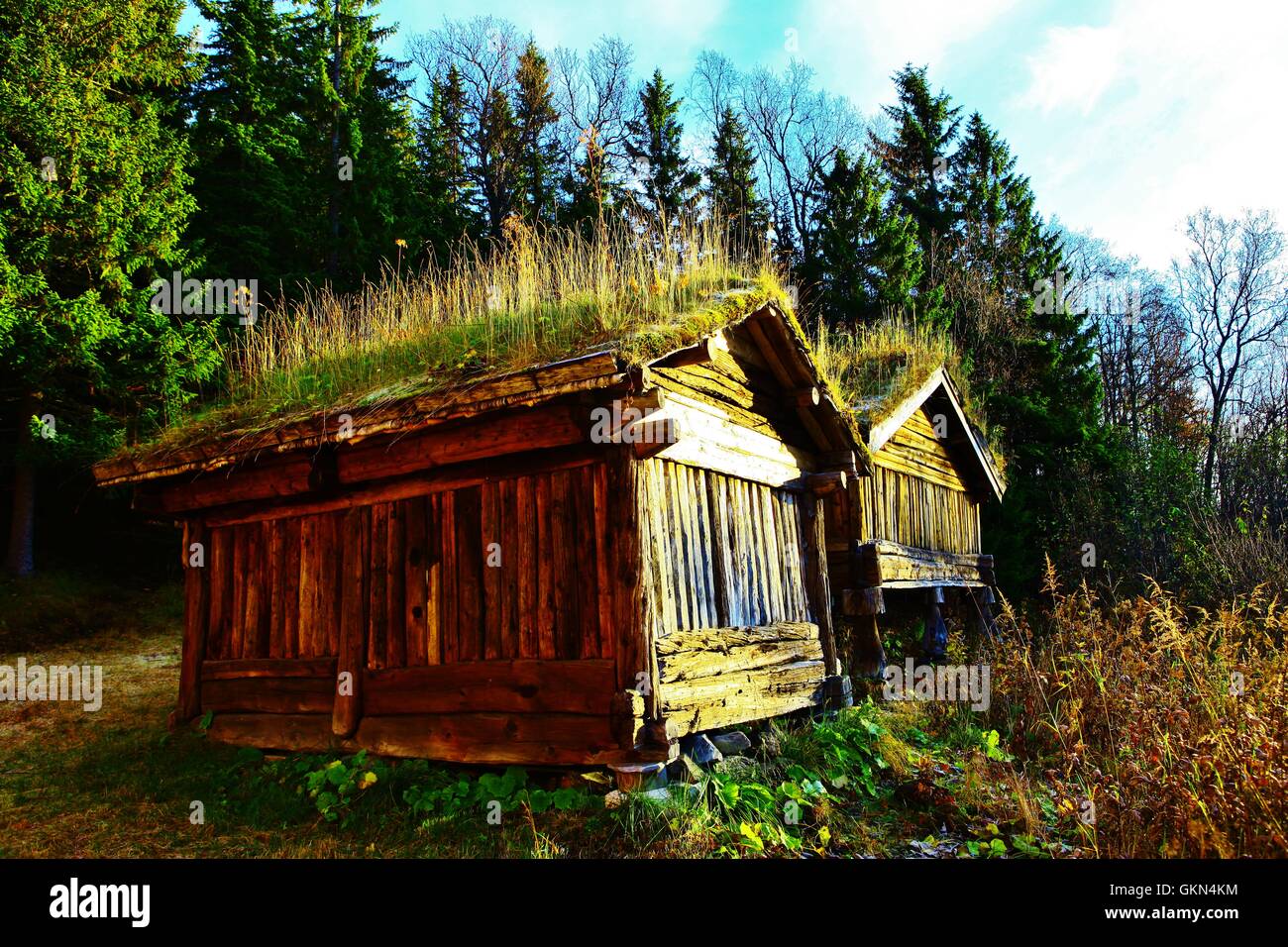 Old timber cabin Stock Photo