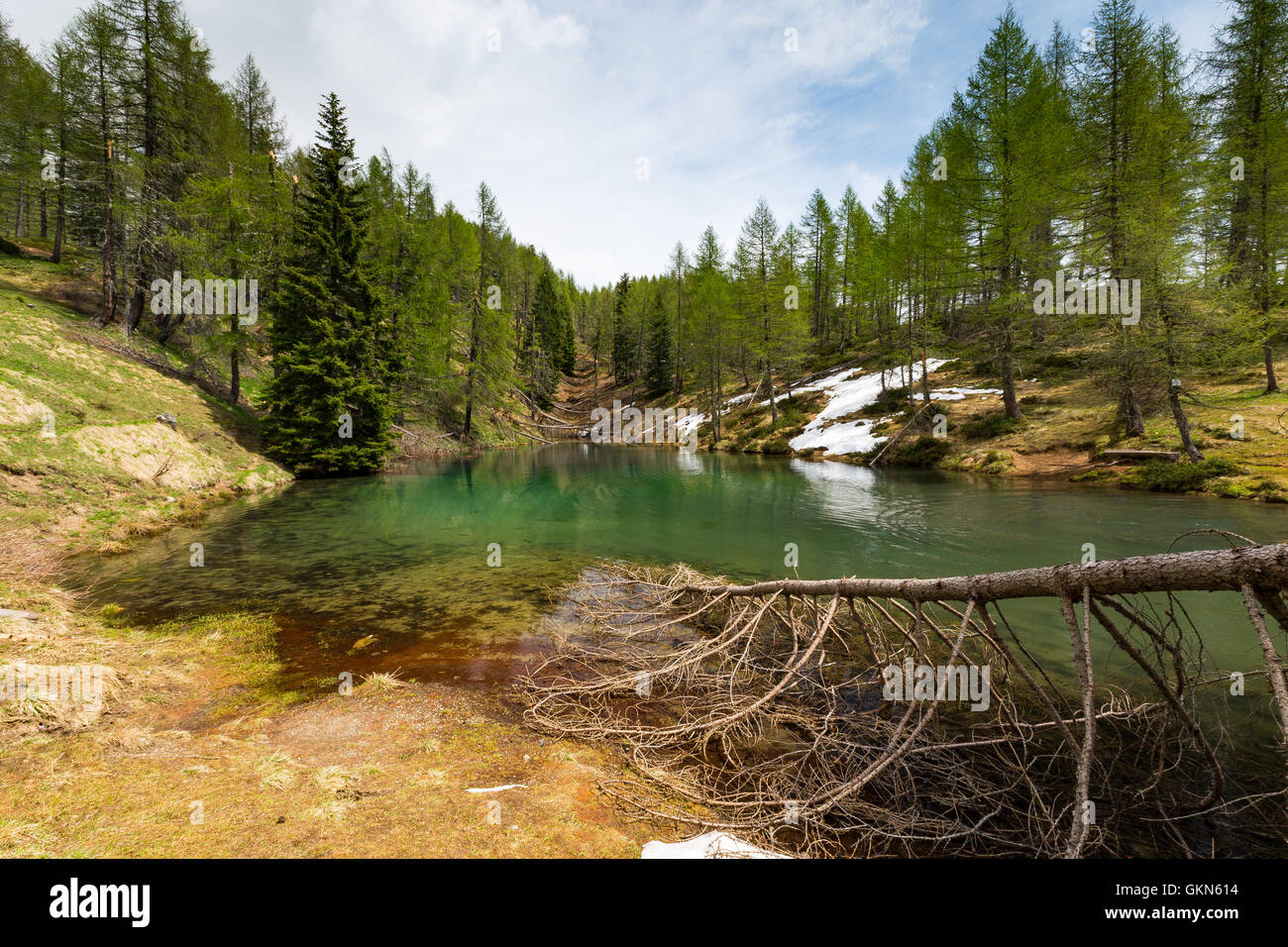Lago delle Prese. Prese lake. The Lagorai mountain group. Trentino. Valsugana. Italian Alps. Europe. Stock Photo