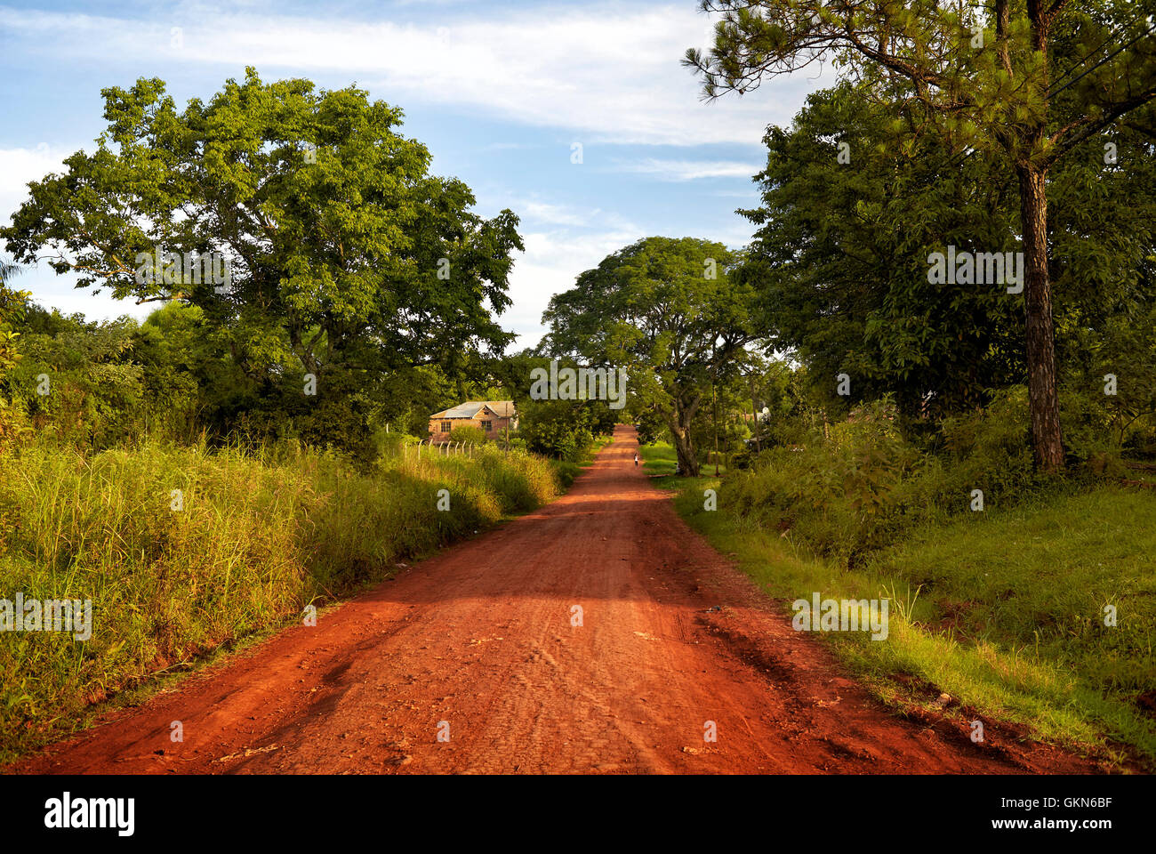 Red soil road. Landscape of Parana Misiones Province of Argentina. countryside.  Rural Landscape. Stock Photo