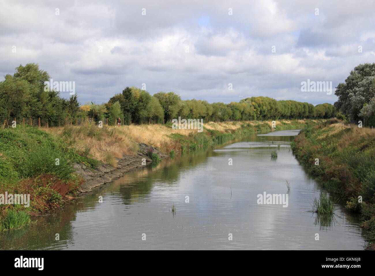 River Mole at Hersham, Surrey, England, Great Britain, United Kingdom