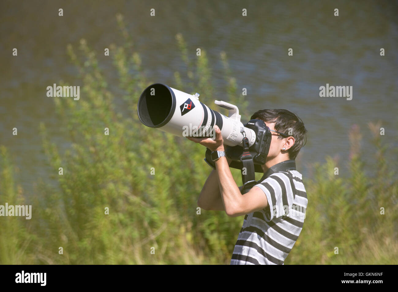 Man photographing birds big 500mm Canon telephoto lens on EOS 1D camera Bwlch Nant Yr Arian Visitor Centre Ceredigion Mid Wales Stock Photo