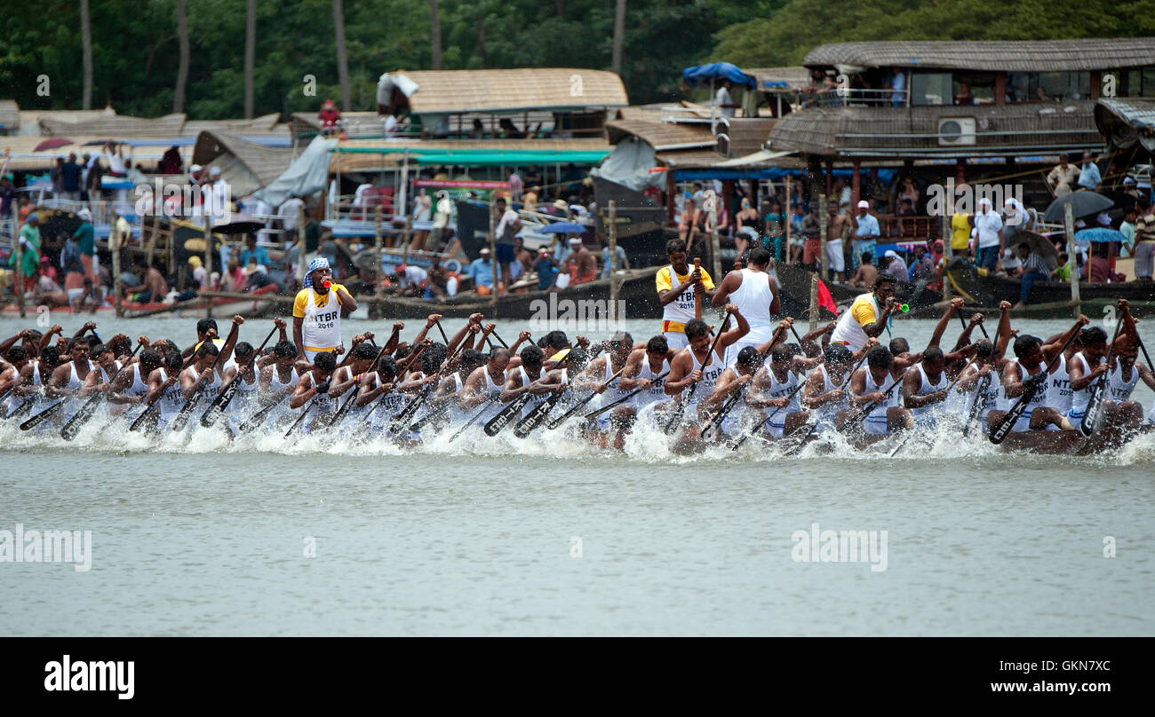 The image of Participant, rowing, Snake boat , Nehru boat race day, Allaepy, Punnamda Lake, Kerala India Stock Photo