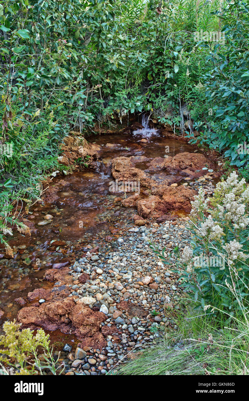 Hot spring runoff, containing iron deposits in creek bed. Yukon, Canada Stock Photo