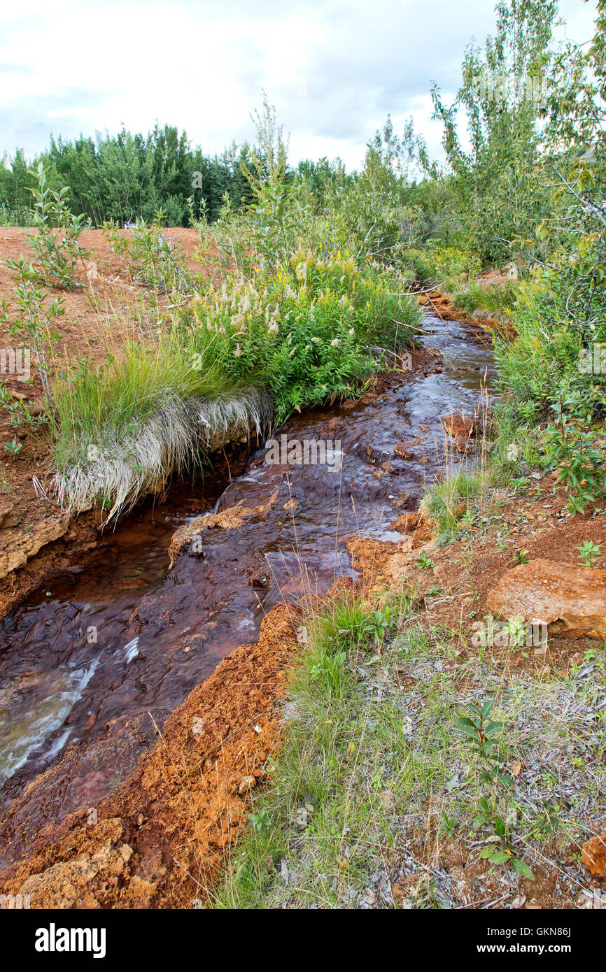 Hot spring runoff, containing iron deposits in creek bed. Stock Photo